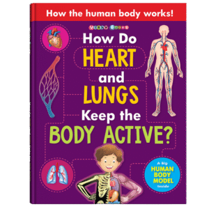 How Do Heart and Lungs Keep the Body Active?