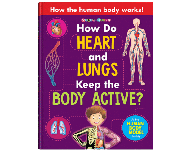 How Do Heart and Lungs Keep the Body Active?
